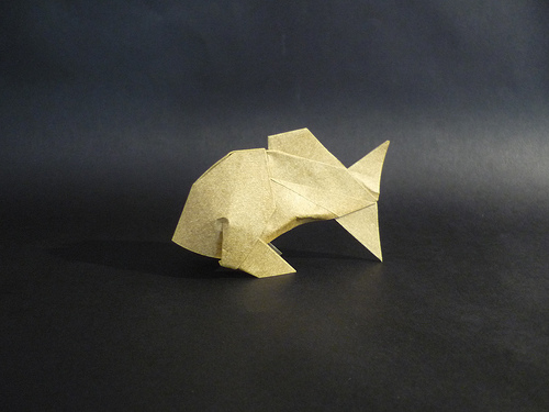 Poisson de Yannick Gardin
