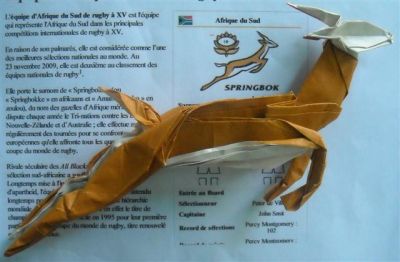 Springbok_d_Argil.JPG