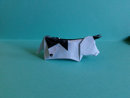 Vache de Yannick Gardin 
