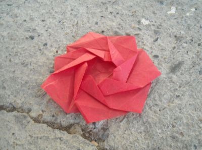 Heptagonal Flower Twist de Andrew Hudson - novembre 2011
