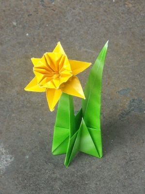 Jonquille de ------ (?)
