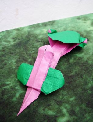 Grenouille capturant une proie de Christophe Curat
