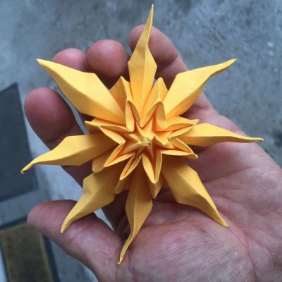 Soleil trouve dans une poubelle de la convention
