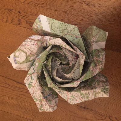 Rose de Naomiki dans une carte igpn
