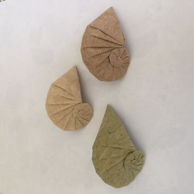 Coquillage de Tomoko Fuse en ortie, mûrier et figuier

