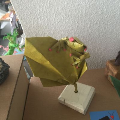 Grenouille derrière une feuille de Sebl
