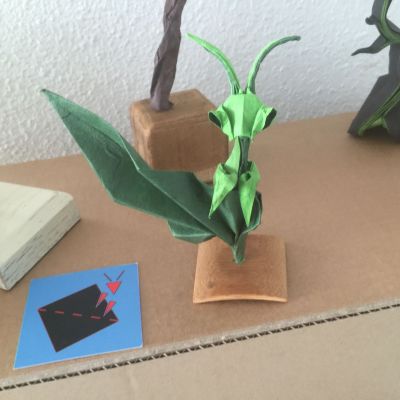 Mante derrière une feuille de Sebl
