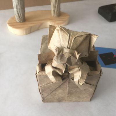 Chat boîte de sebl
