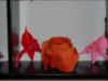 DSCN0021_(Small).JPG