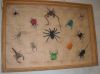 DSCN1374_28Small29.JPG