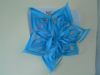 DSCN1405_28Small29.JPG