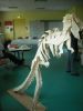 DSCN1407_28Small29.JPG