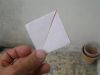 DSCN2136_28Small29.JPG