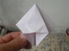 DSCN2137_28Small29.JPG