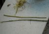 DSCN2191_28Small29.JPG