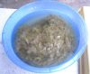 DSCN2199_28Small29.JPG
