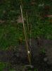 DSCN2219_28Small29.JPG