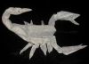 DSCN2227_28Small29.JPG