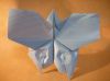 Papillon_qui_bat_des_ailes_de_Kaze.JPG
