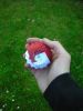 Nom du fichier=Pokeball_de_Kaze.JPG
Taille du fichier=21Ko
Dimensions : 300x400
Ajouté le : 27 Avril 2011 Pokeball_de_Kaze.JPG