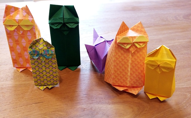 Chouettes Hiboux - 19 mai 21
- Owl - Robin Glynn  Diag sur son site

