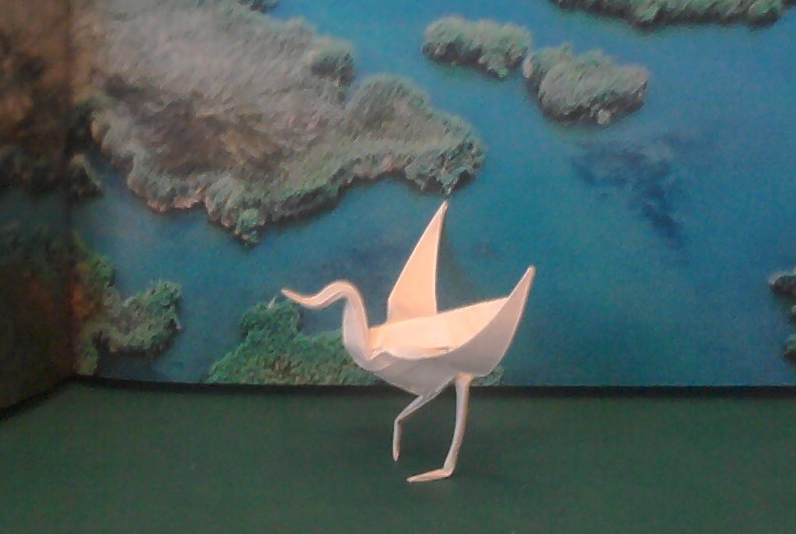 Step One - Dancing crane -  Kade Chan
Tant 15x15cm Wet foldé
