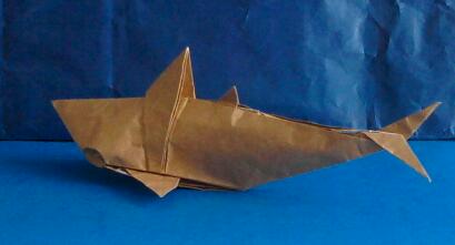  Tiburón - Ángel Morollón 
Requin Angel Morollon sandwich foil dernière génération 
