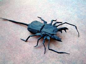 Manuel Sirgo 
Photos : http://design.origami.free.fr
