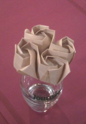 Symmetric twisting field of roses - At breakfast
Auteur du CP : G. Pickett
