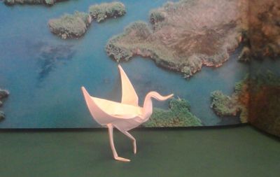 Step One - Dancing crane -  Kade Chan
Tant 15x15cm Wet foldé

