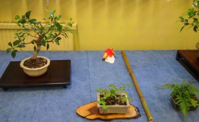 2014-09-27_10_25_15.jpg