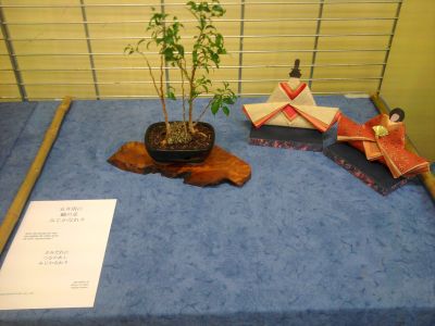 2014-09-27_10_26_00.jpg