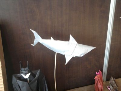 Tiburon Angel Morollon
Modèle de l'auteur
