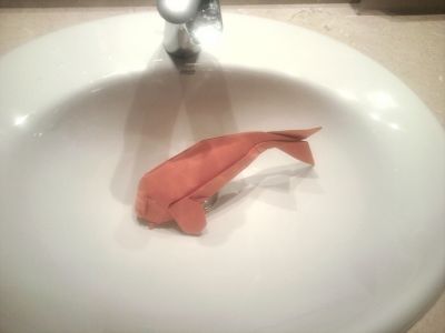 Koi - Angel Morollon
