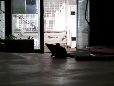 Rencontre fortuite

