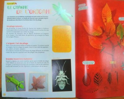 Petite Salamandre n°96 - Oct-Nov 2014
Les oeuvres de Brian Chan à l'honneur.
