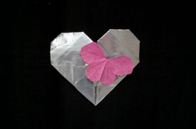 Heart with Butterfly - Andrey Kukyanov
Coeur au papillon
Epreuve n°1 aux olympiades
Soie + alu/papier
1er essai
