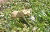 2012-05-27_15_06_49.jpg