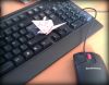 Nom du fichier=Mouse_Masashi_Tanaka.jpg
Taille du fichier=492Ko
Dimensions : 916x722
Ajouté le : 10 Décembre 2014 Mouse_Masashi_Tanaka.jpg