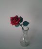 Nom du fichier=Naomiki_Rose.jpg
Taille du fichier=1175Ko
Dimensions : 1187x1364
Ajouté le : 20 Septembre 2014 Naomiki_Rose.jpg