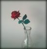 Nom du fichier=Pentagonal_Sato_Rose.jpg
Taille du fichier=901Ko
Dimensions : 1041x1073
Ajouté le : 20 Septembre 2014 Pentagonal_Sato_Rose.jpg