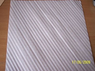 tesselation_préparation.JPG