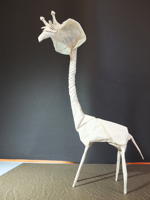 GIRABRA_2.jpg