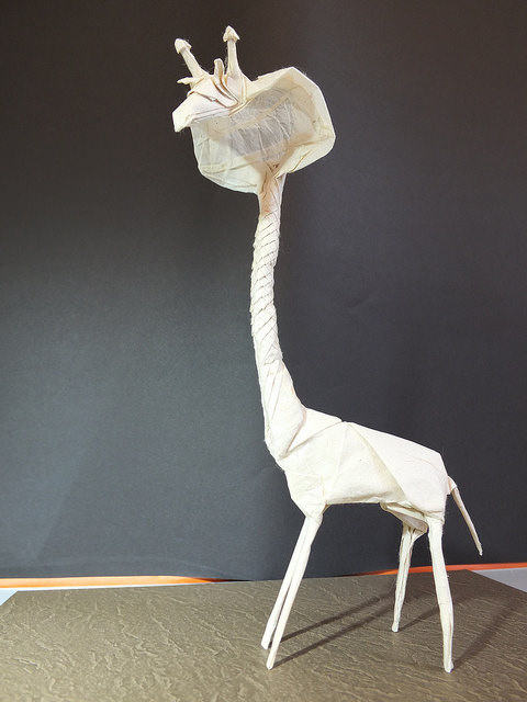 GIRABRA_3.jpg