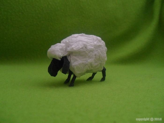 mouton_coeurjoly.jpg