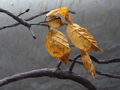 Le regard (mars 2015)
Le regard nous joue bien des tours 
On le remarque dans notre art :
L’origami est magie par la transformation d’une feuille. 
Puis nous poussons cette magie en faisant découvrir des animaux plein de vie alors que notre bout de papier ne reste qu’une feuille pliée sans plumes , sans poils.
Poussons donc l’illusion à voir ce qui n’est pas, encore plus loin : 
« Les oiseaux se cachent pour mourir. »
