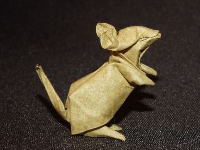 souris
