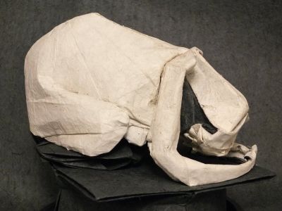 Prostree_face_a_la_mort_3.jpg