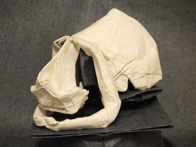 Prostree_face_a_la_mort_4.jpg