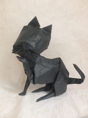 le chat
tete nouvelle version oct 15

